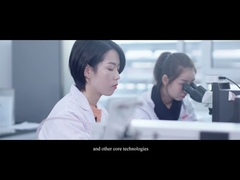 Fuyang Bio Natural Erythritol Sweetener